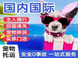 抚远航空快递国际宠物托运 【国